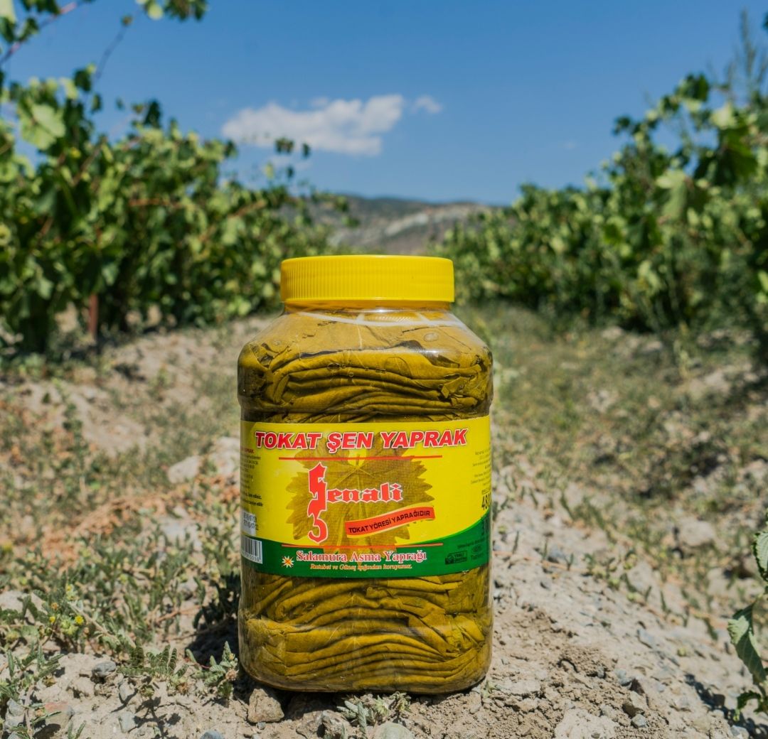 TOKAT ASMA YAPRAĞI 4800 GR