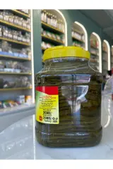 TOKAT YAPRAĞI ASMA YAPRAĞI BAĞ YAPRAĞI bürüt 3000gr net 2000gr